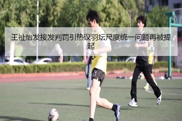王祉怡发接发判罚引热议羽坛尺度统一问题再被提起